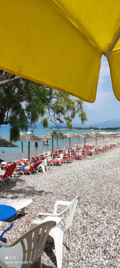 Koralli Beach Niforeika Esterno foto