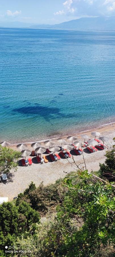 Koralli Beach Niforeika Esterno foto