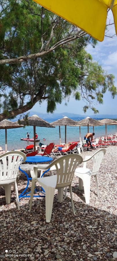 Koralli Beach Niforeika Esterno foto